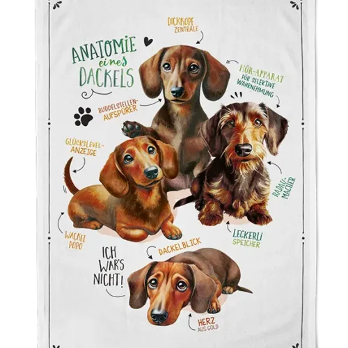 Käterätt-linik Taksid