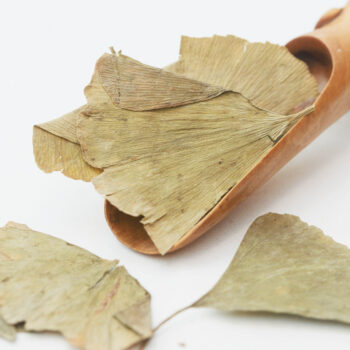 Ginkgo Biloba ehk Hõlmikpuu lehed